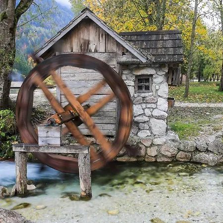 House Podgosar Pokljuka Alpstuga *