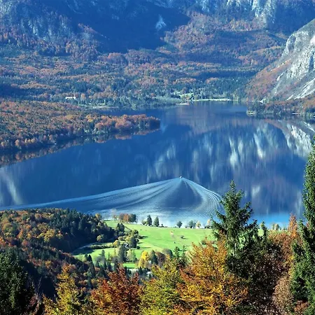 House Podgosar Pokljuka *