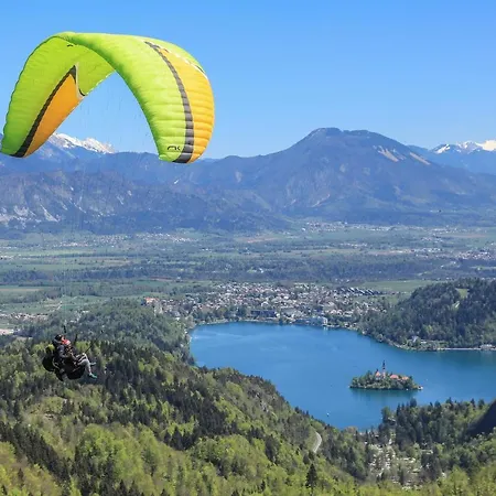 House Podgosar Pokljuka