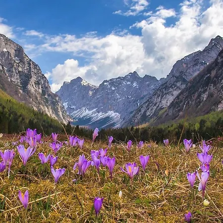 Chalet House Podgosar Pokljuka