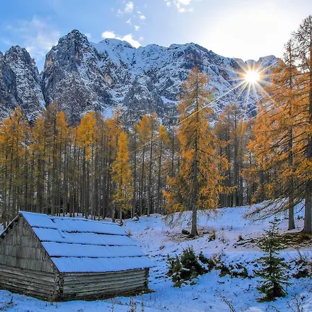 House Podgosar Pokljuka * Bled