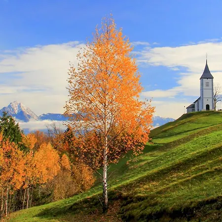 House Podgosar Pokljuka * Bled