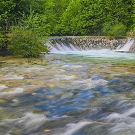 Chalet House Podgosar Pokljuka