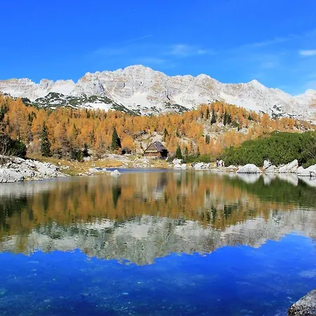 House Podgosar Pokljuka