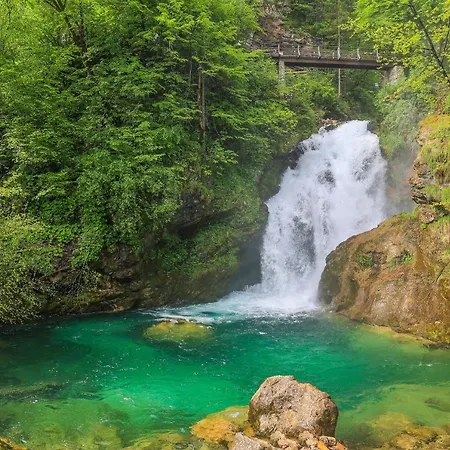 House Podgosar Pokljuka Chalet Bled