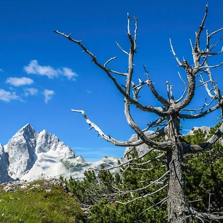 House Podgosar Pokljuka Alpstuga