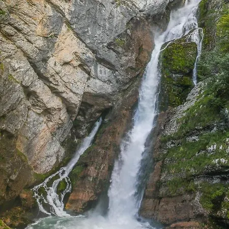 House Podgosar Pokljuka * Bled