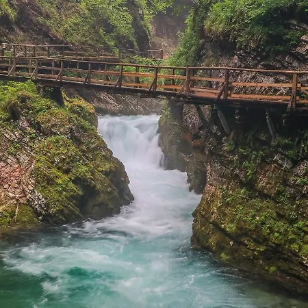 House Podgosar Pokljuka Chalet Bled