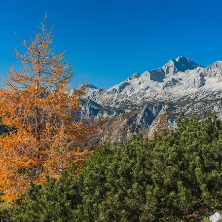 Chalet House Podgosar Pokljuka