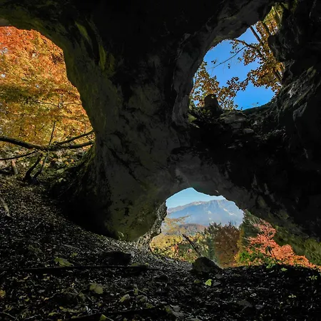 House Podgosar Pokljuka *