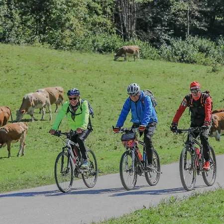 House Podgosar Pokljuka Alpstuga *
