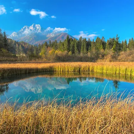 Alpstuga House Podgosar Pokljuka *