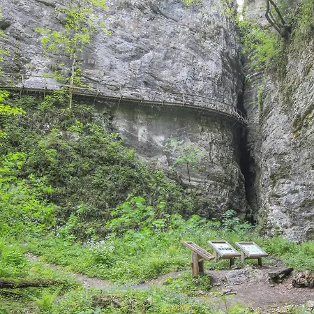 House Podgosar Pokljuka Chalet Bled