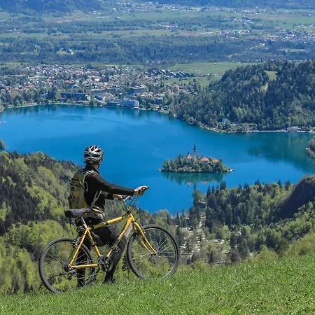 Alpstuga House Podgosar Pokljuka *