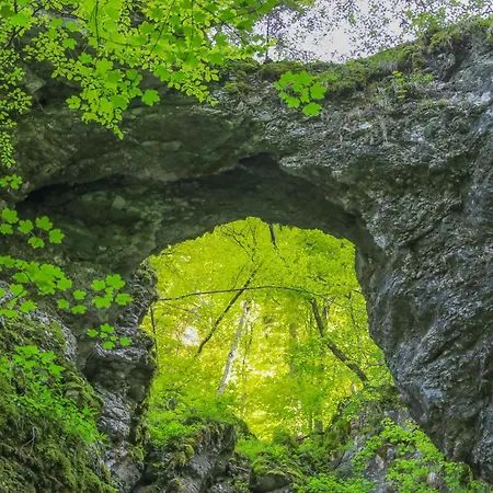 Alpstuga House Podgosar Pokljuka Bled