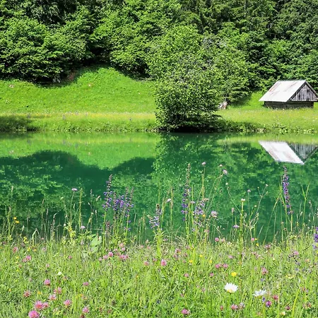 House Podgosar Pokljuka