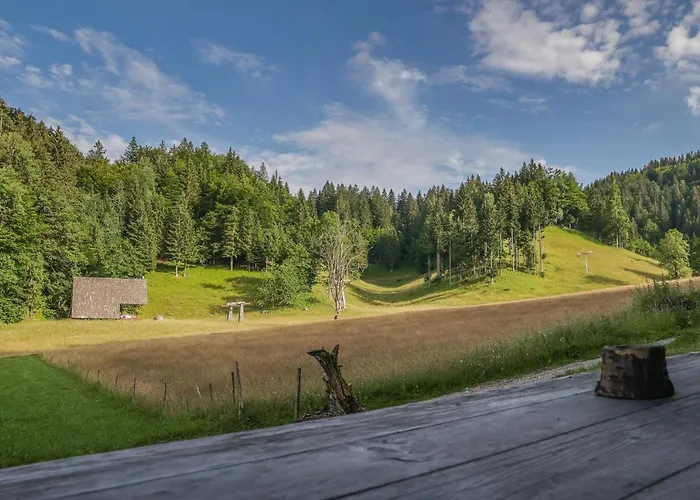 House Podgosar Pokljuka Bled