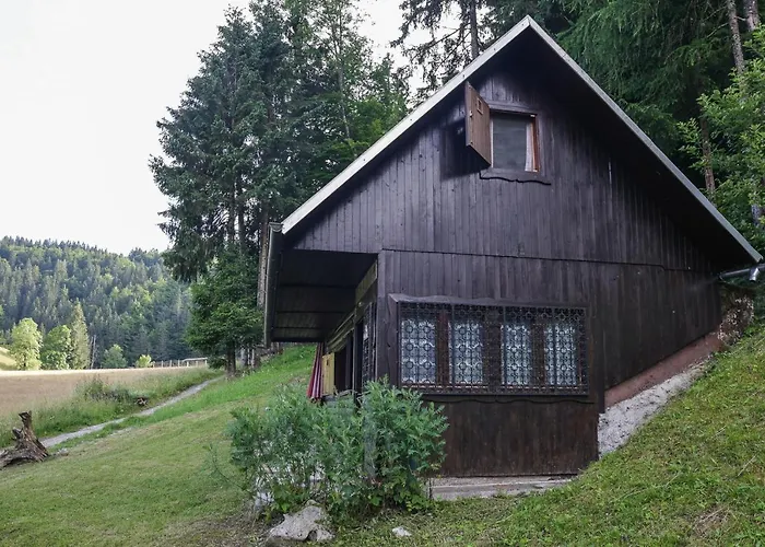 Alpehytte House Podgosar Pokljuka *