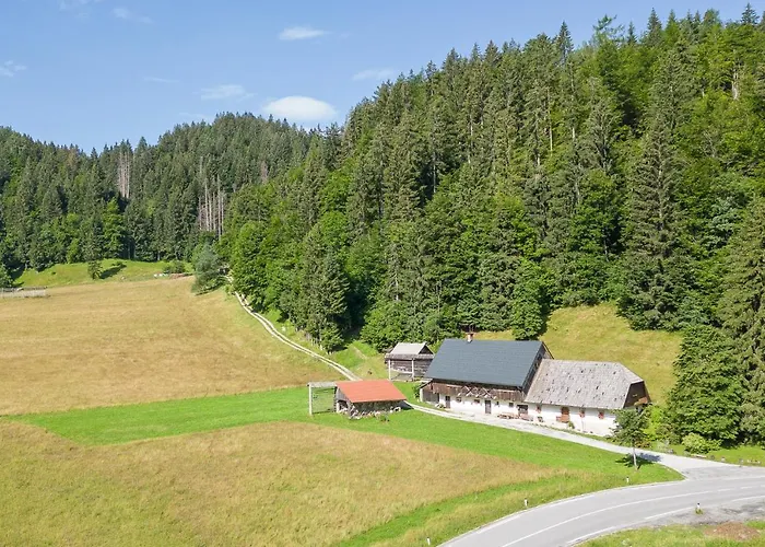 House Podgosar Pokljuka Alpehytte Bled