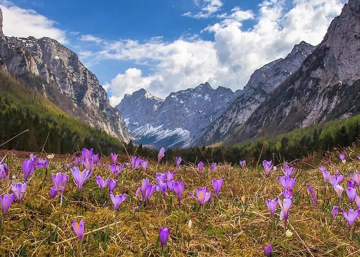 בקתה House Podgosar Pokljuka