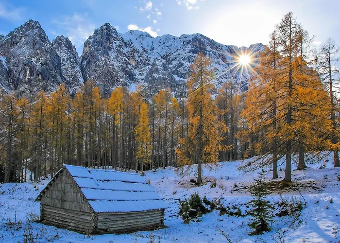 House Podgosar Pokljuka * בלד