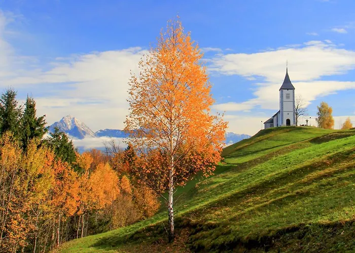 House Podgosar Pokljuka * בלד