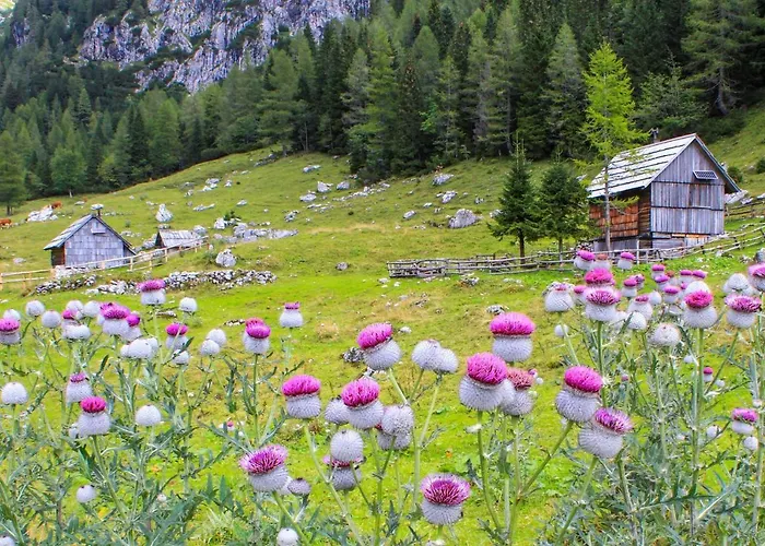 House Podgosar Pokljuka *