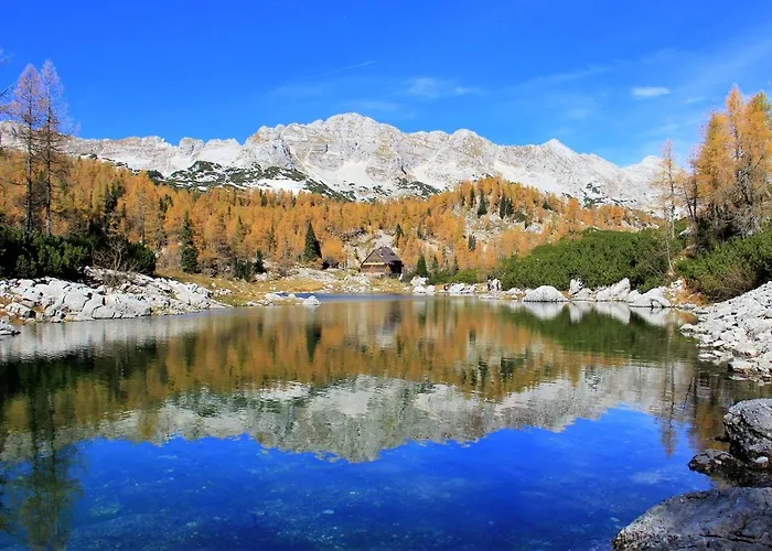 House Podgosar Pokljuka