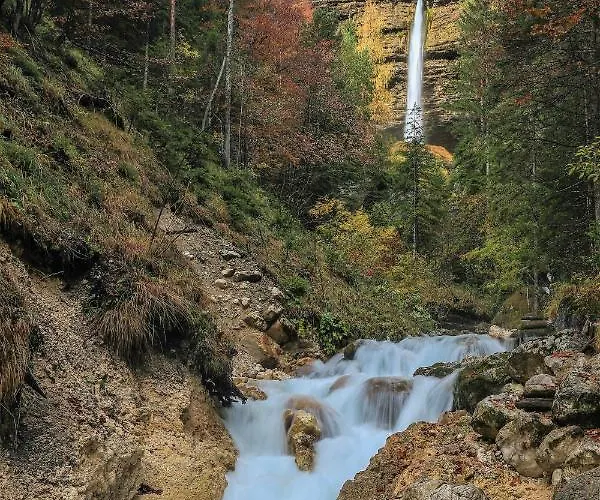 House Podgosar Pokljuka Alpehytte *