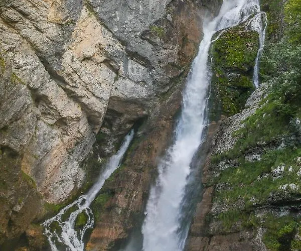 House Podgosar Pokljuka * בלד