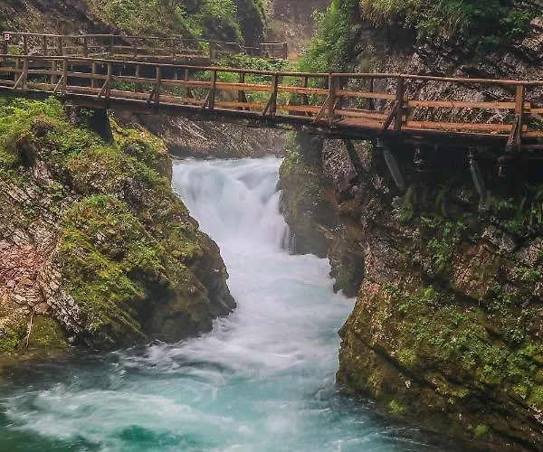 House Podgosar Pokljuka Alpehytte Bled