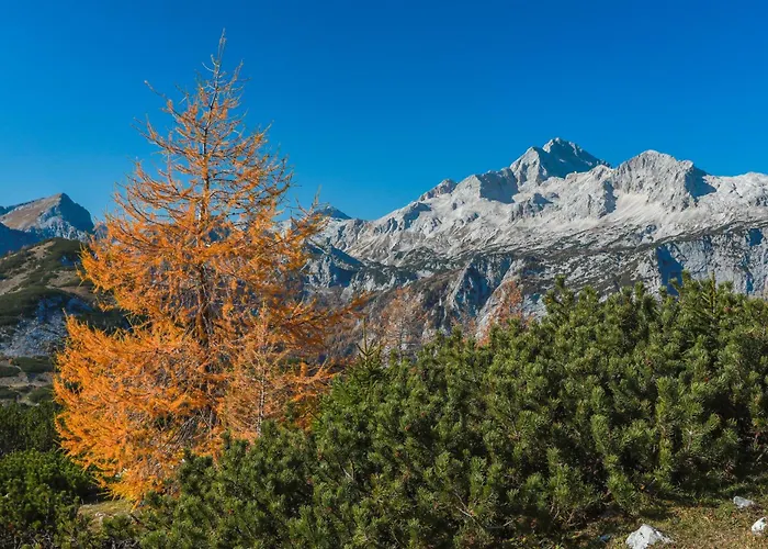 Alpehytte House Podgosar Pokljuka