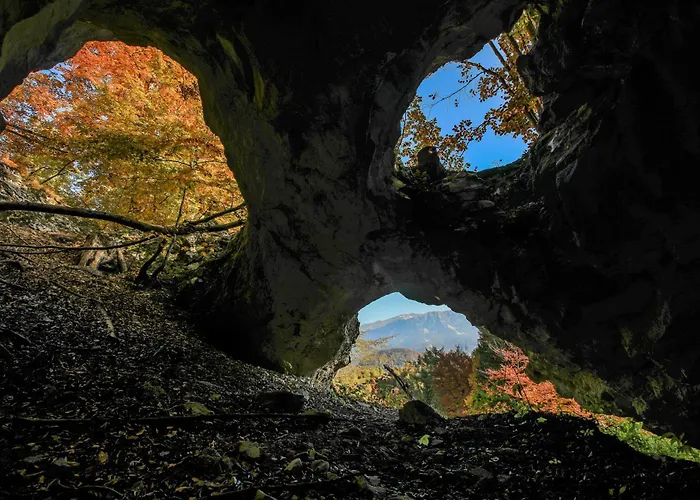 House Podgosar Pokljuka *