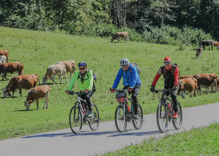 House Podgosar Pokljuka Alpehytte *