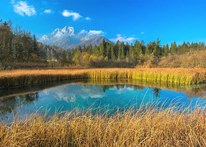 בקתה House Podgosar Pokljuka *