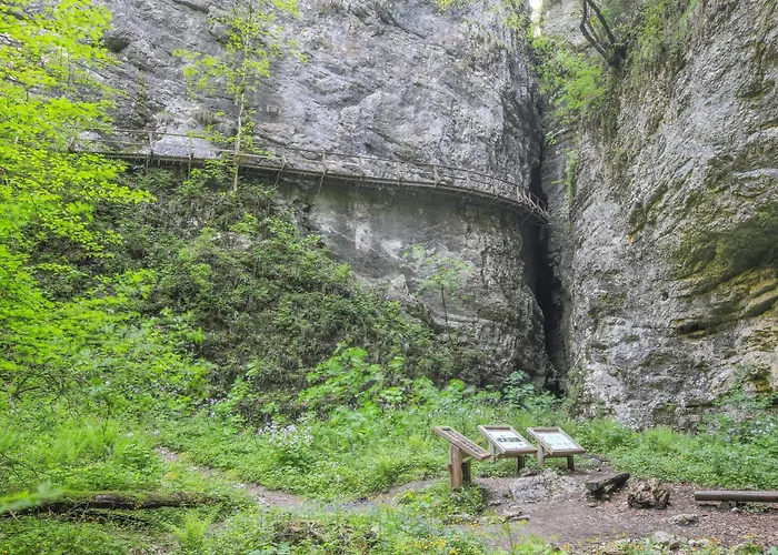 House Podgosar Pokljuka בקתה בלד