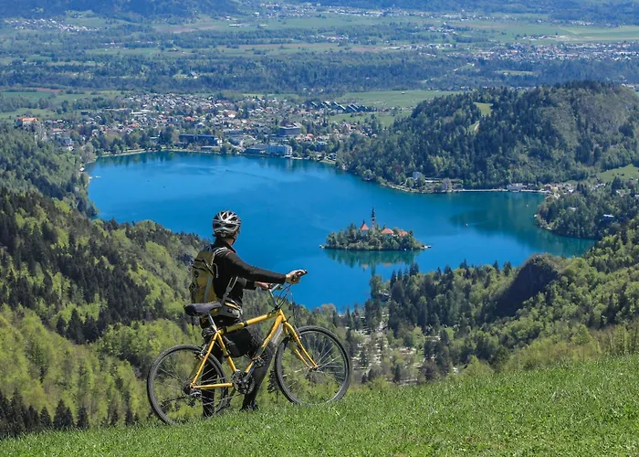 Alpehytte House Podgosar Pokljuka *