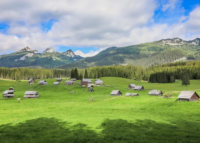 House Podgosar Pokljuka בקתה בלד