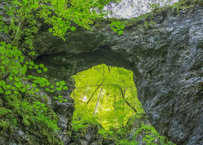 בקתה House Podgosar Pokljuka בלד