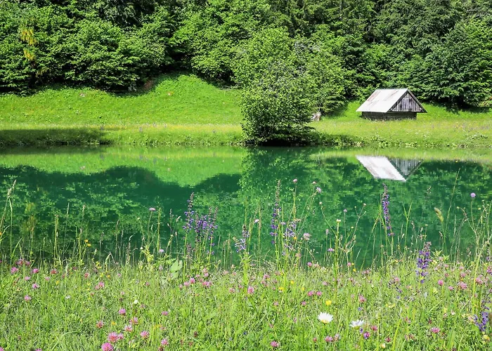 House Podgosar Pokljuka